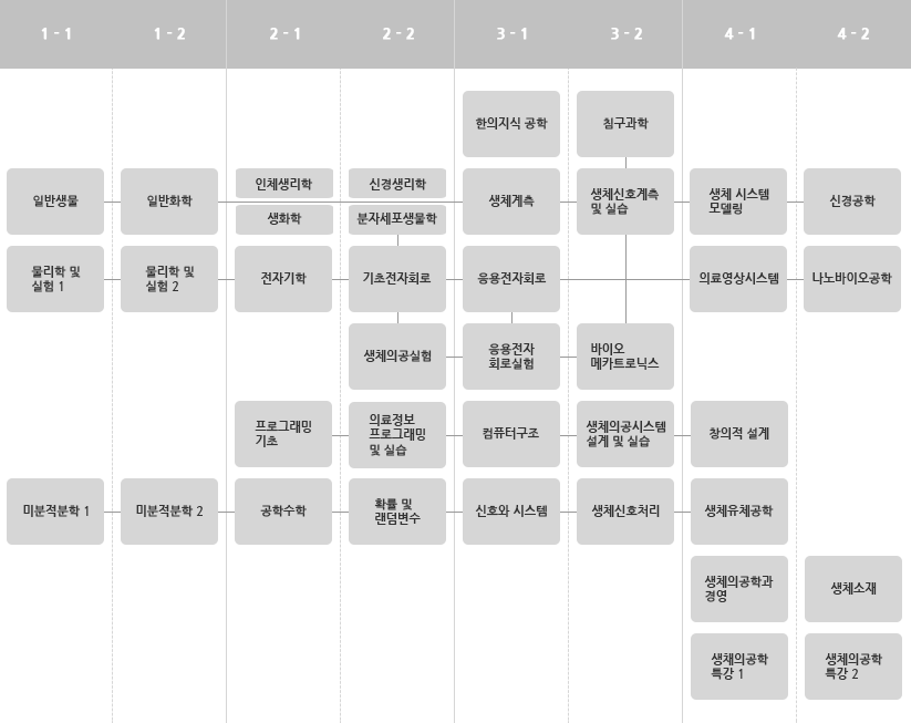 단일전공 교육과정 이수체계도